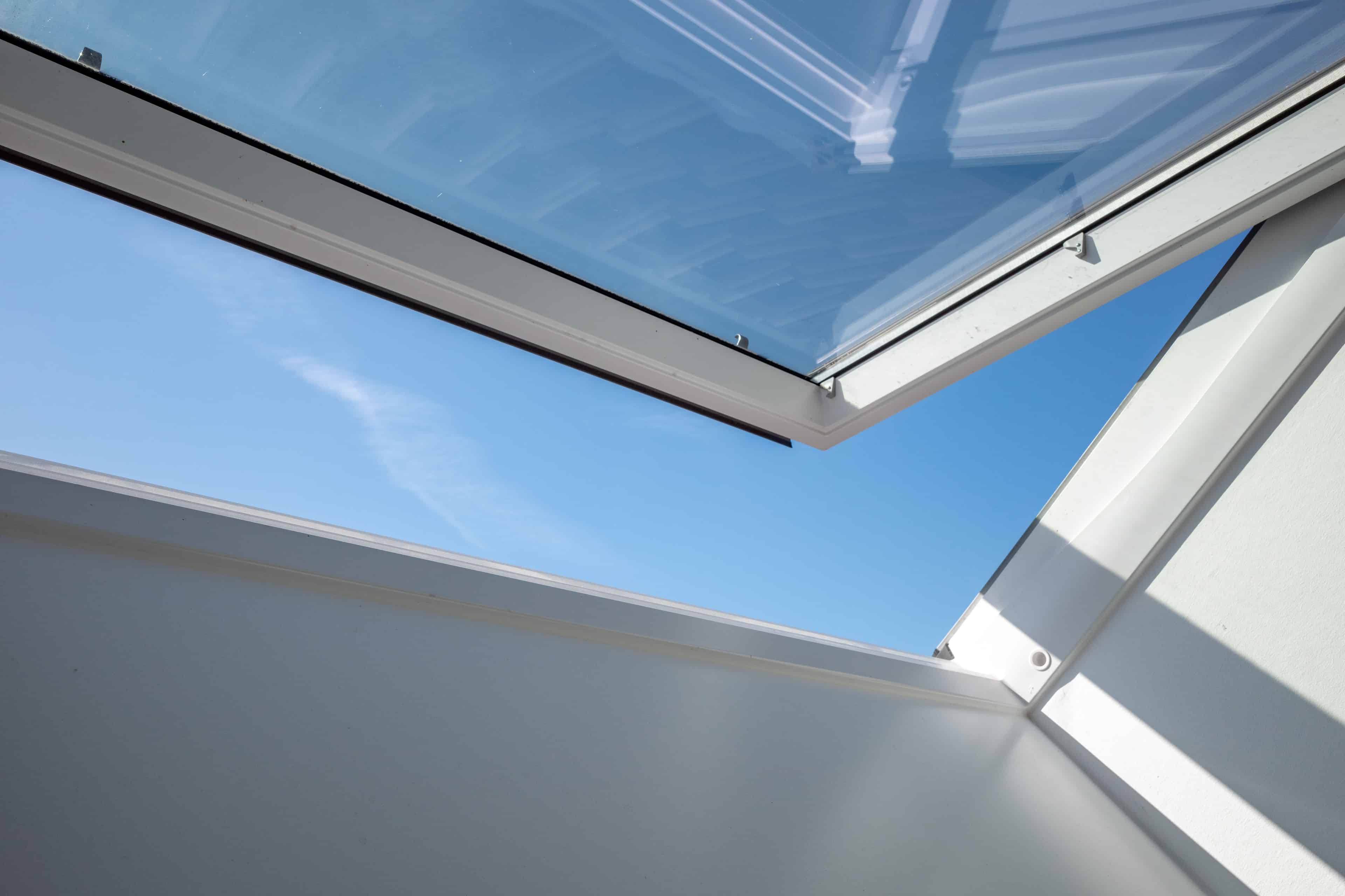 Skylight Cleaning image