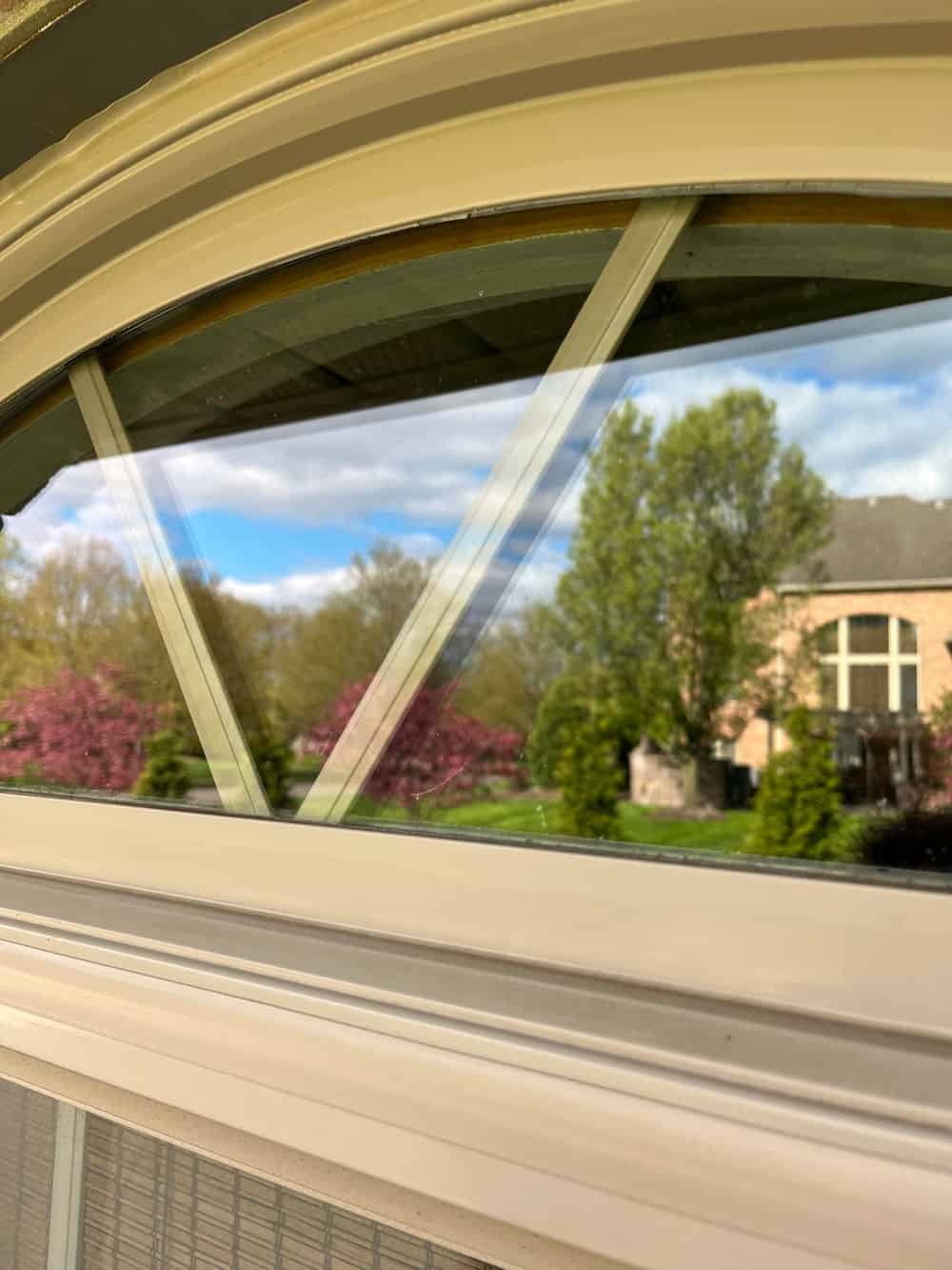 Post-Renovation Window Cleaning image