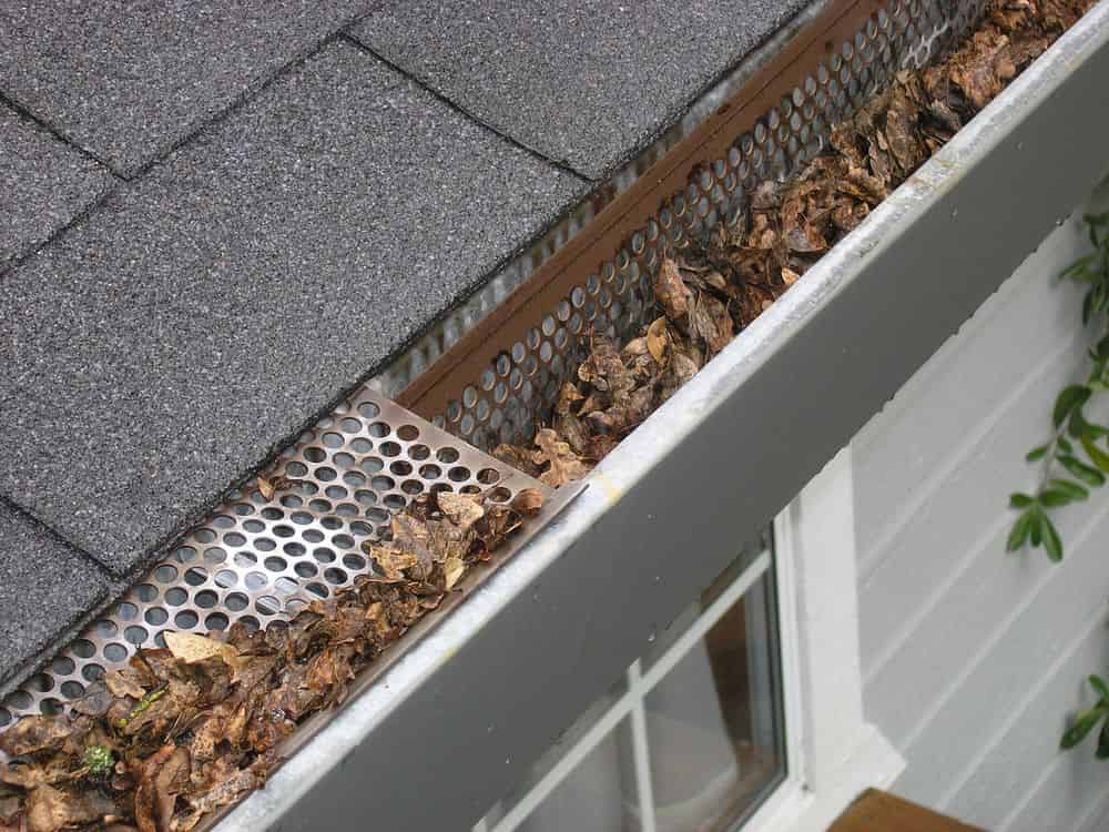 Gutter Cleaning Services image