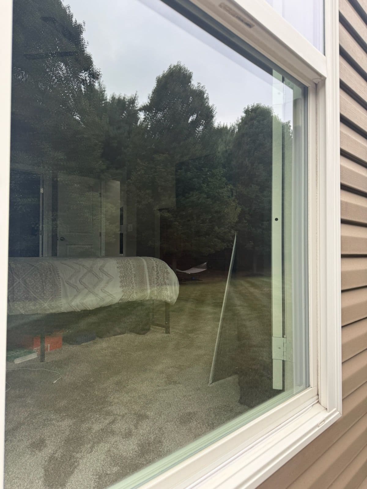 Stunning Transformation with Expert Window Cleaning